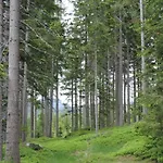 Urlaub Am Bauernhof Grabenhofer *