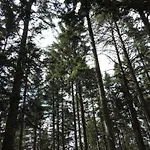 Urlaub Am Bauernhof Grabenhofer בית חווה