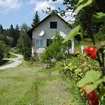 Urlaub Am Bauernhof Grabenhofer בית חווה *