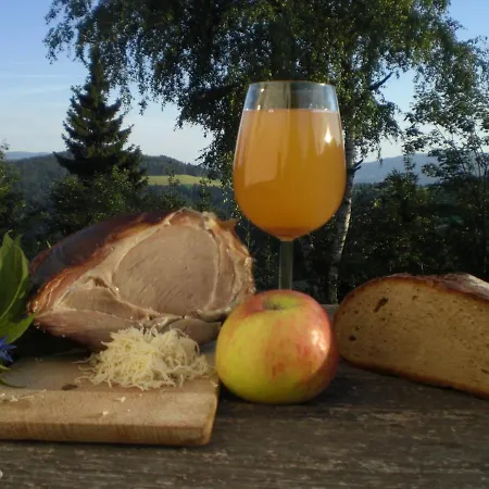 ファームステイ Urlaub Am Bauernhof Grabenhofer