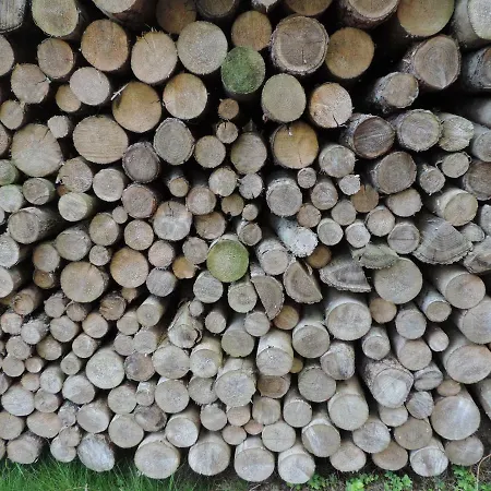 Urlaub Am Bauernhof Grabenhofer Çiftlik konaklama