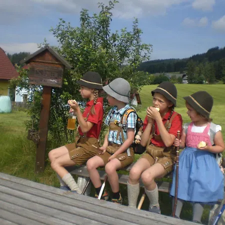 Urlaub Am Bauernhof Grabenhofer * 林区圣雅各布