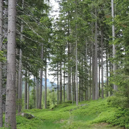 Urlaub Am Bauernhof Grabenhofer *