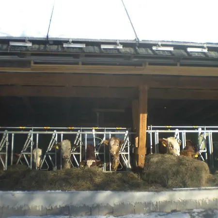 Urlaub Am Bauernhof Grabenhofer سانكت ياكوب إم فالدي