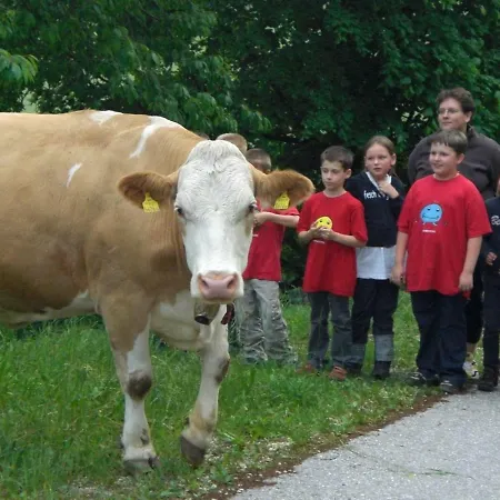 Urlaub Am Bauernhof Grabenhofer Feriegård *