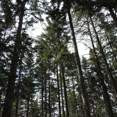 Urlaub Am Bauernhof Grabenhofer בית חווה