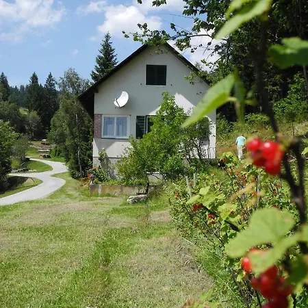 Urlaub Am Bauernhof Grabenhofer Farma *