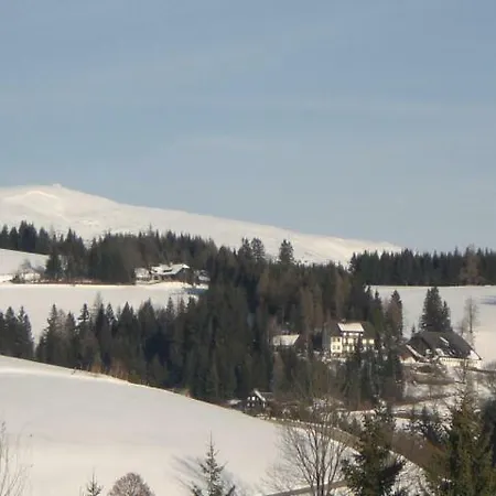 Urlaub Am Bauernhof Grabenhofer * 林区圣雅各布