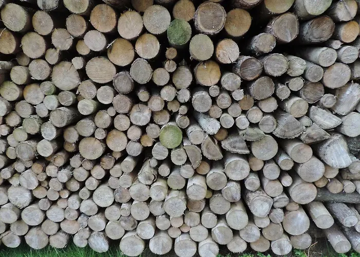 Urlaub Am Bauernhof Grabenhofer مزرعة للإقامة