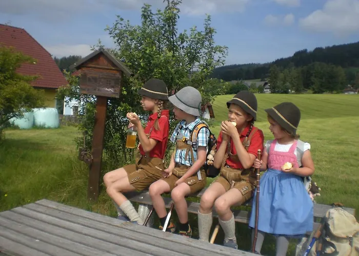 Urlaub Am Bauernhof Grabenhofer * Sankt Jakob im Walde