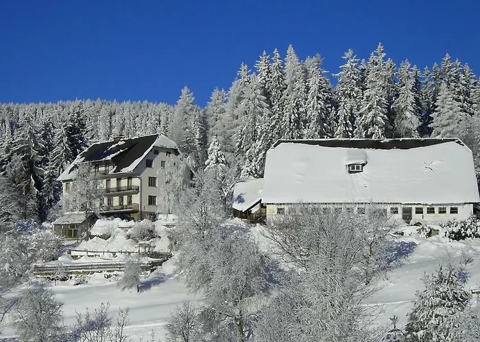 Urlaub Am Bauernhof Grabenhofer * Sankt Jakob im Walde