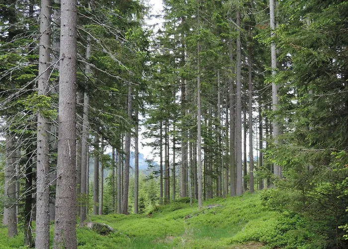 Urlaub Am Bauernhof Grabenhofer *