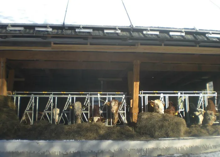 Urlaub Am Bauernhof Grabenhofer سانكت ياكوب إم فالدي