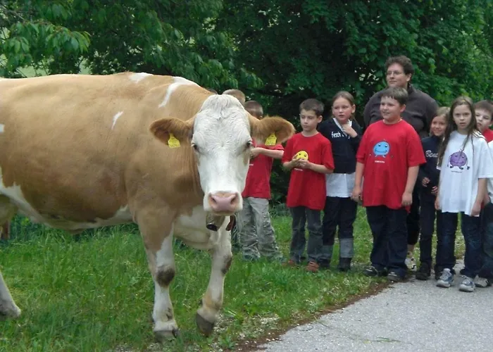 Urlaub Am Bauernhof Grabenhofer Bauernhof *
