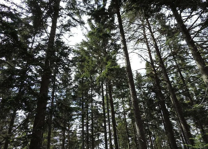 Urlaub Am Bauernhof Grabenhofer Bauernhof