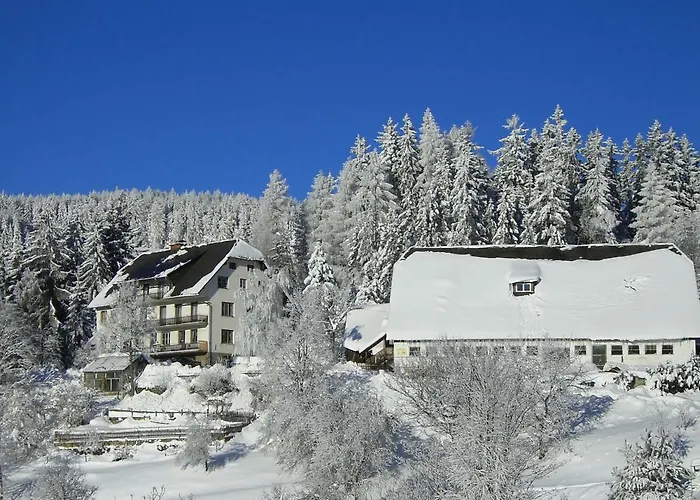 Urlaub Am Bauernhof Grabenhofer سانكت ياكوب إم فالدي