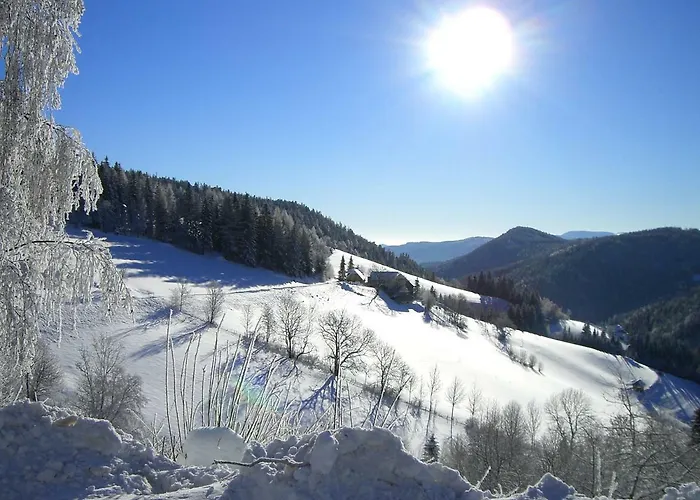 Bauernhof Urlaub Am Bauernhof Grabenhofer *